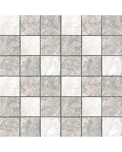 2091-11269838