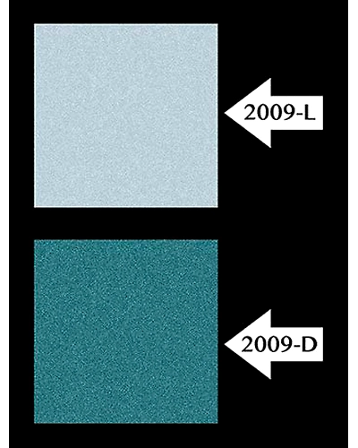 2009-1