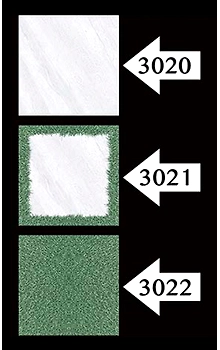 3020