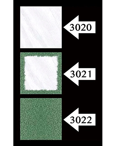 3020-1