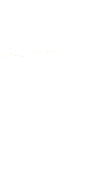 104