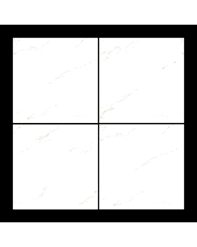 1009-1