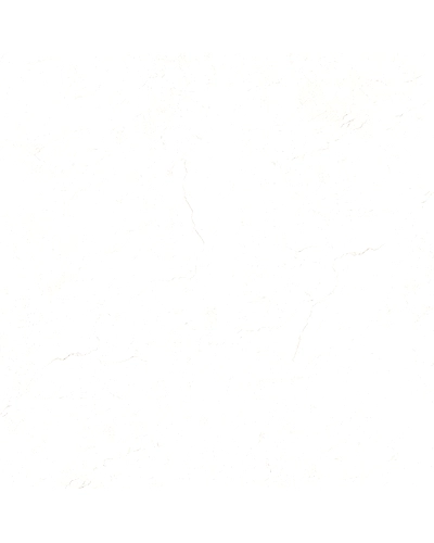 3005-11289862