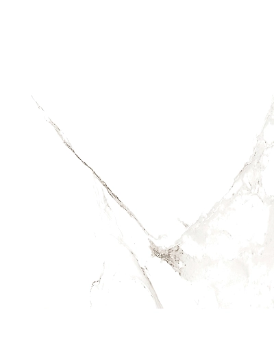 ALVINO SATVARIO-11289932