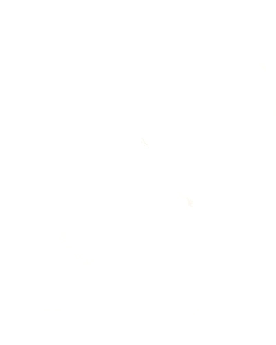 ARENA WHITE-11289972