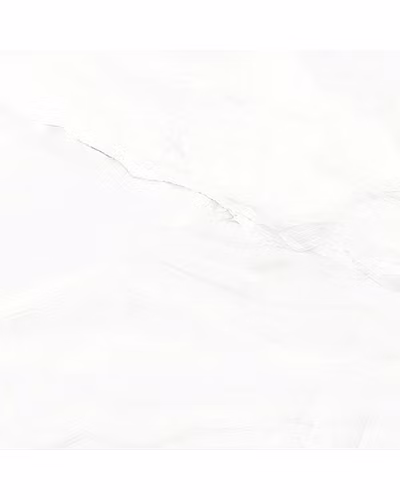 EB-1003-11292464