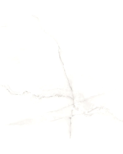 EB-1008-11292470