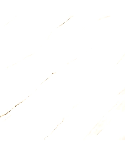 EB-1018-11292484