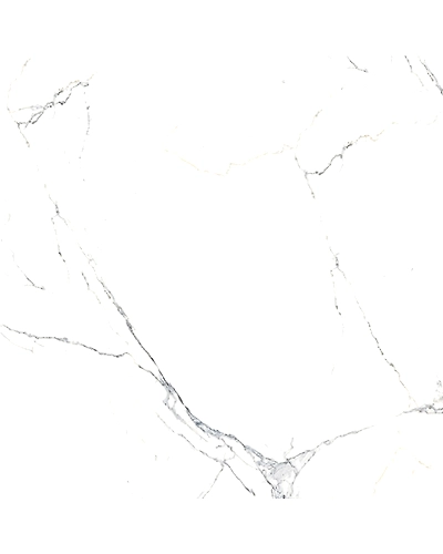 ELITE STATUARIO-11292496
