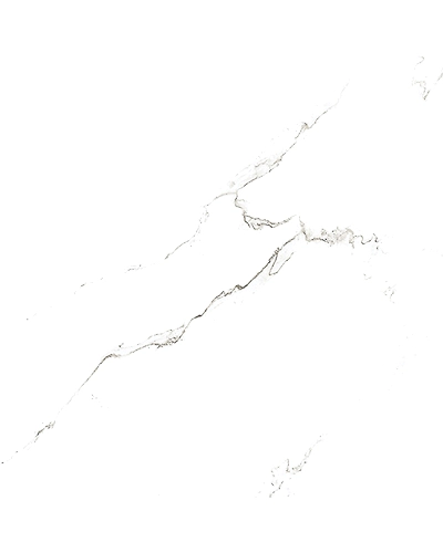 EVEREST WHITE-11295948