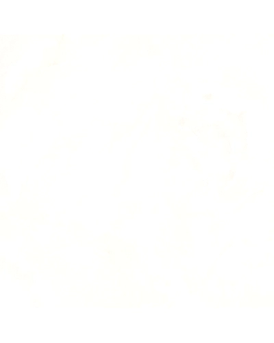 GLACIAR WHITE-11295978