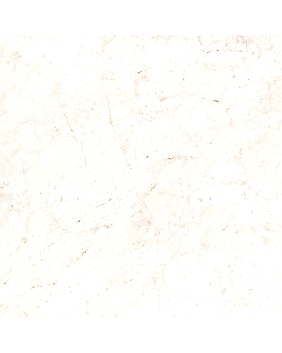 IVORY MARFIL-11296150