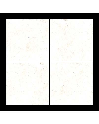 IVORY MARFIL-1