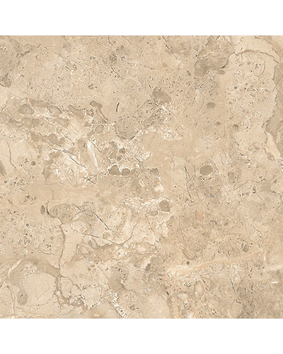 MARTIAN ALMOND-11298222