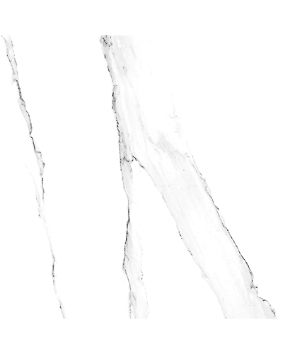 MILOS SATVARIO-11298236