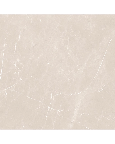 PISA SILVER-11298386