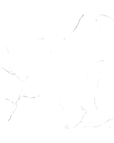 ROYAL SATVARIO-11298508