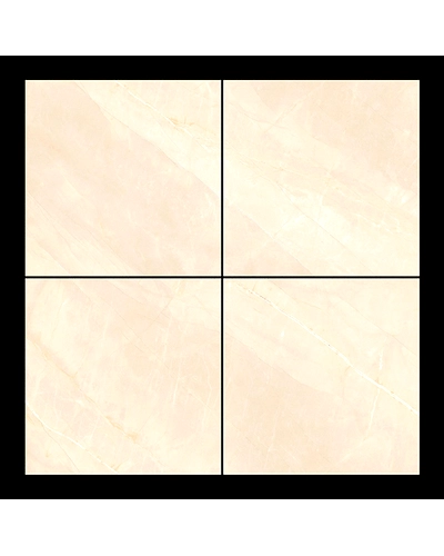 SCAMBIO IVORY-1