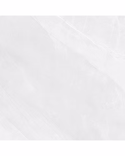 SCAMBIO WHITE-11298524