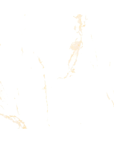 STATUARIO GOLD PULIDO-11298558