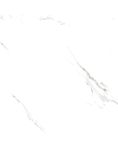 STATUARIO GREY-11298560