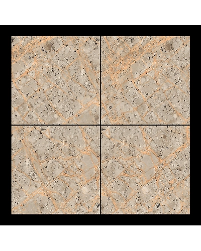 VG-2010-1