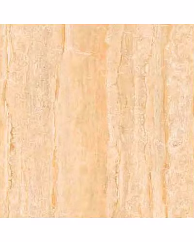 5006-1