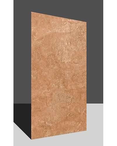 ONTARIO BROWN-11309304