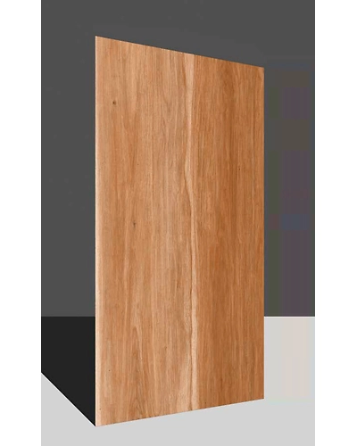 CANARIUM BROWN-11310144