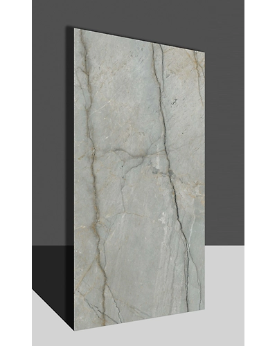 ANTHERIUM AQUA-11313472