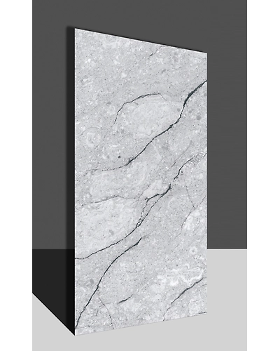 CENSAS GRIS-11313528
