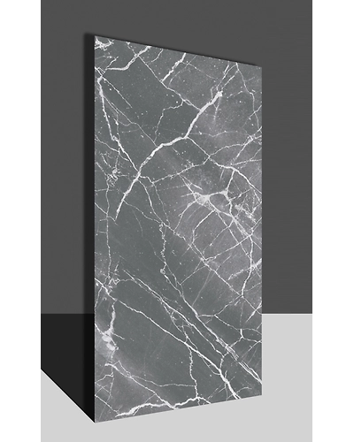 SALWIN GRIS-11313692