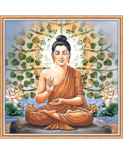 2253-11414564