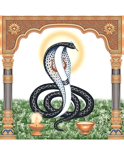 2279-11414612