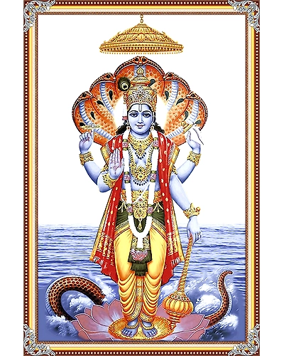 2529-11472334
