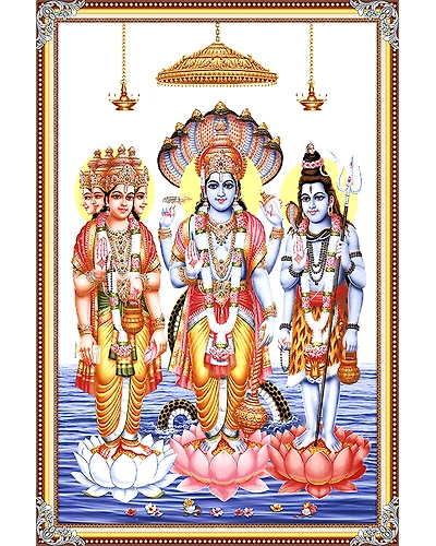 2530-11472338