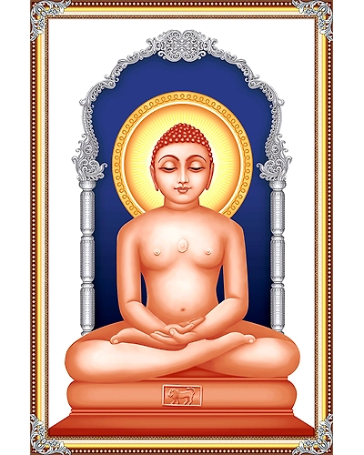 2564-11472528