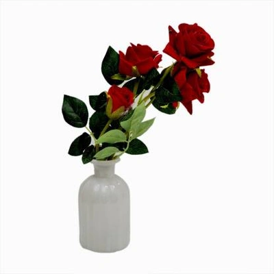 craftfry Royal Bottle Shape (lining) Flower Vases with royal white colour Glass Vase (13 cm. White, Red)