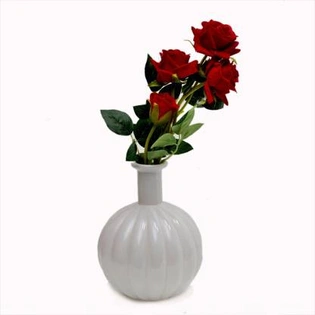 craftfry Luxury glass Pumpkin Flask (lining) Flower Vases in royal plane white colour Glass Vase (6 inch, White)