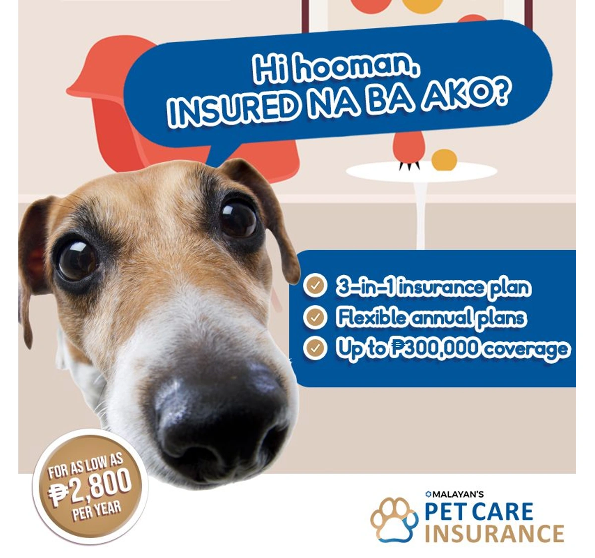 Malayan's Pet Care Insurance - A | Luz Cotoco
