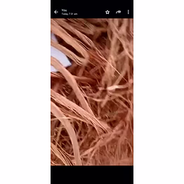 copper wire scrap