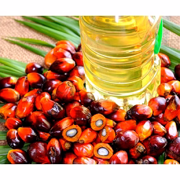 3ec palm oil cp 10