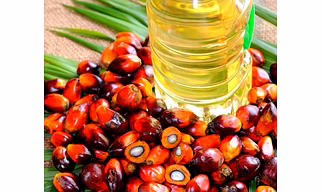 palm oil cp 10