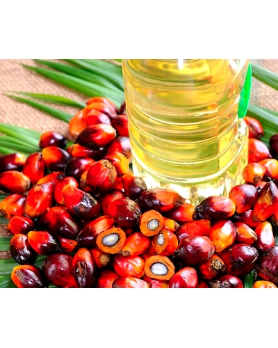 palm oil cp 10-12686805