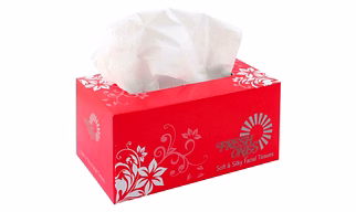 FACIAL PAPER TISSUES
