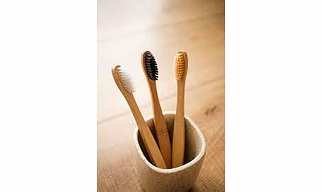Bamboo Toothbrush
