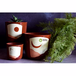 terracotta 3 planter set