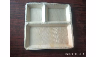 Areca Leaf Square Disposable Plate