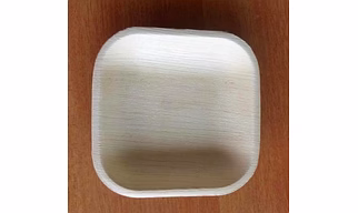 Areca Leaf Disposable Plate
