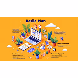 1. basic plan website